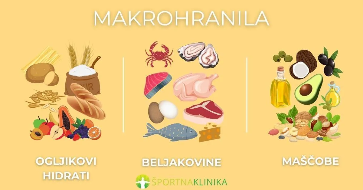 Infografika - Seznam makrohranil