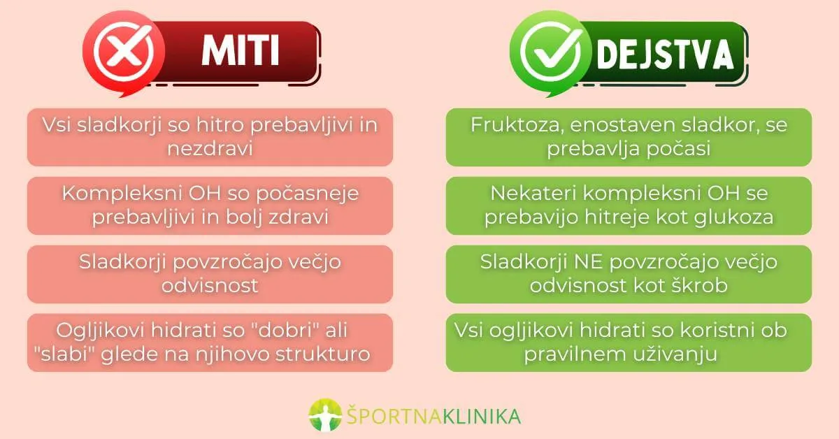 Infografika - Miti in dejstva o ogljikovih hidratih