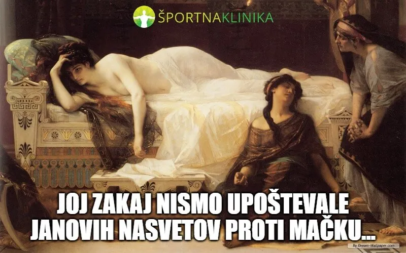 Meme - nasveti za mačka