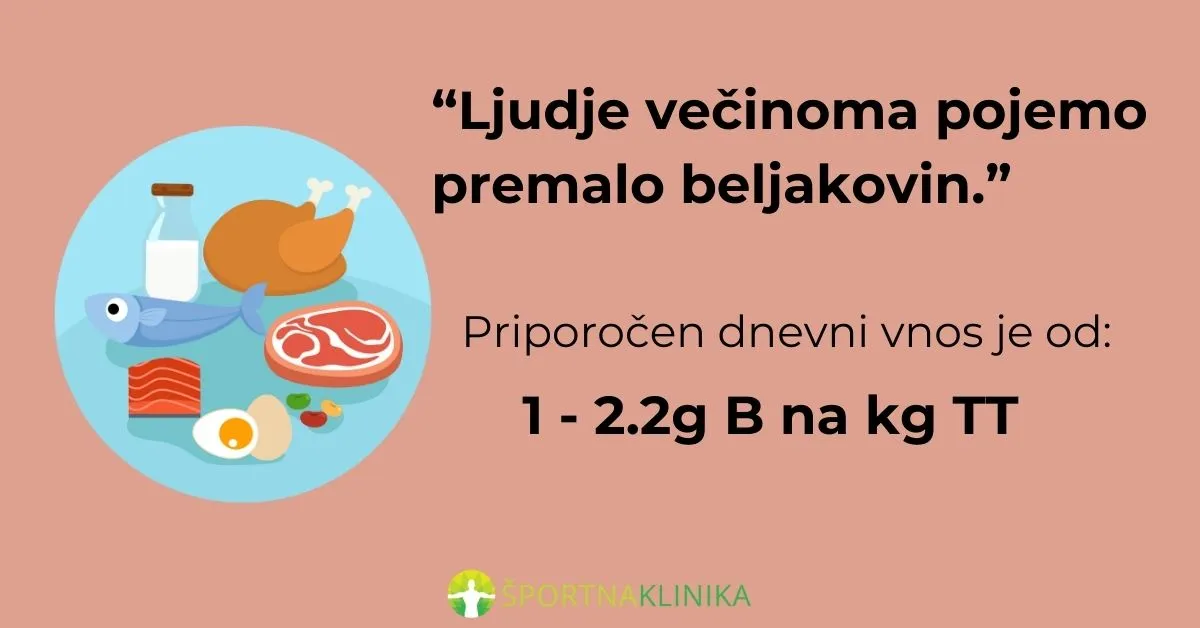 Infografika - Priporočen dnevni vnos beljakovin