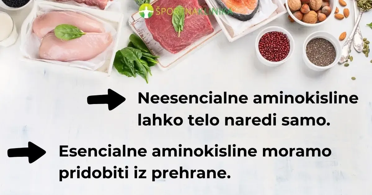 Infografika - Esencialne in neesencialne aminokisline